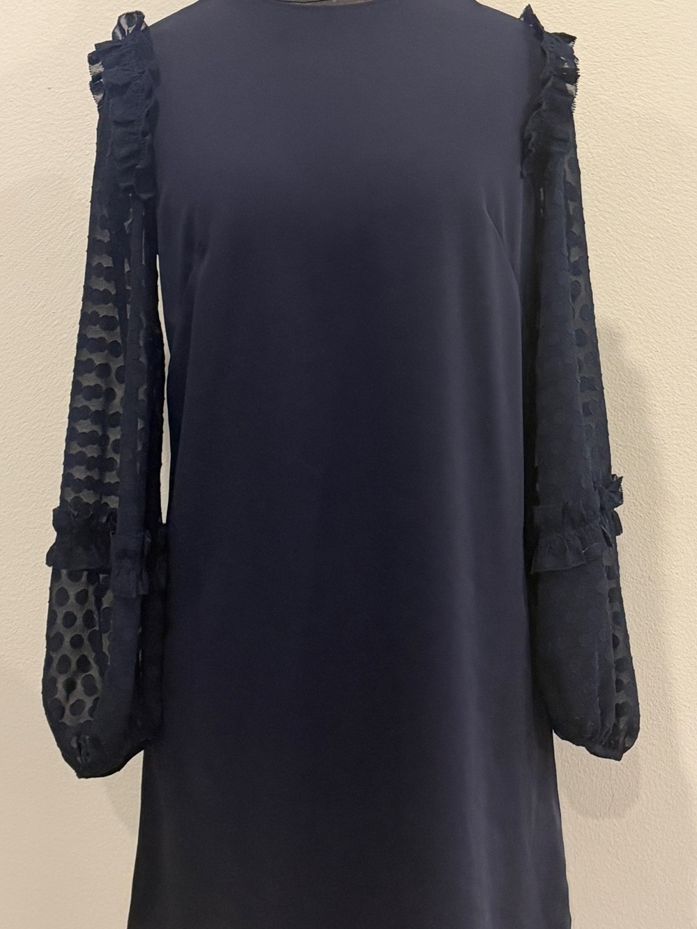 Ann Taylor Navy Sheer Dot Sleeve Shift Dress